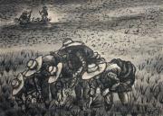 Mondine di Roncoferraro, china e inchiostro a pennello del 1959 dim. cm 34x46,